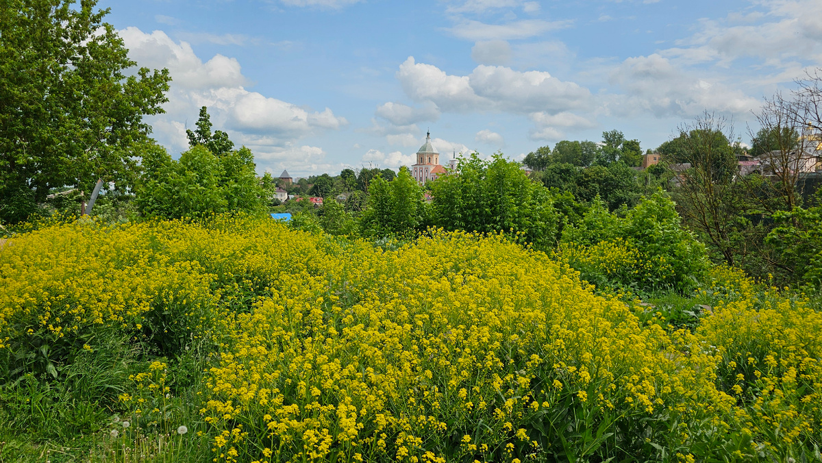 вид со смотровой площадки.
