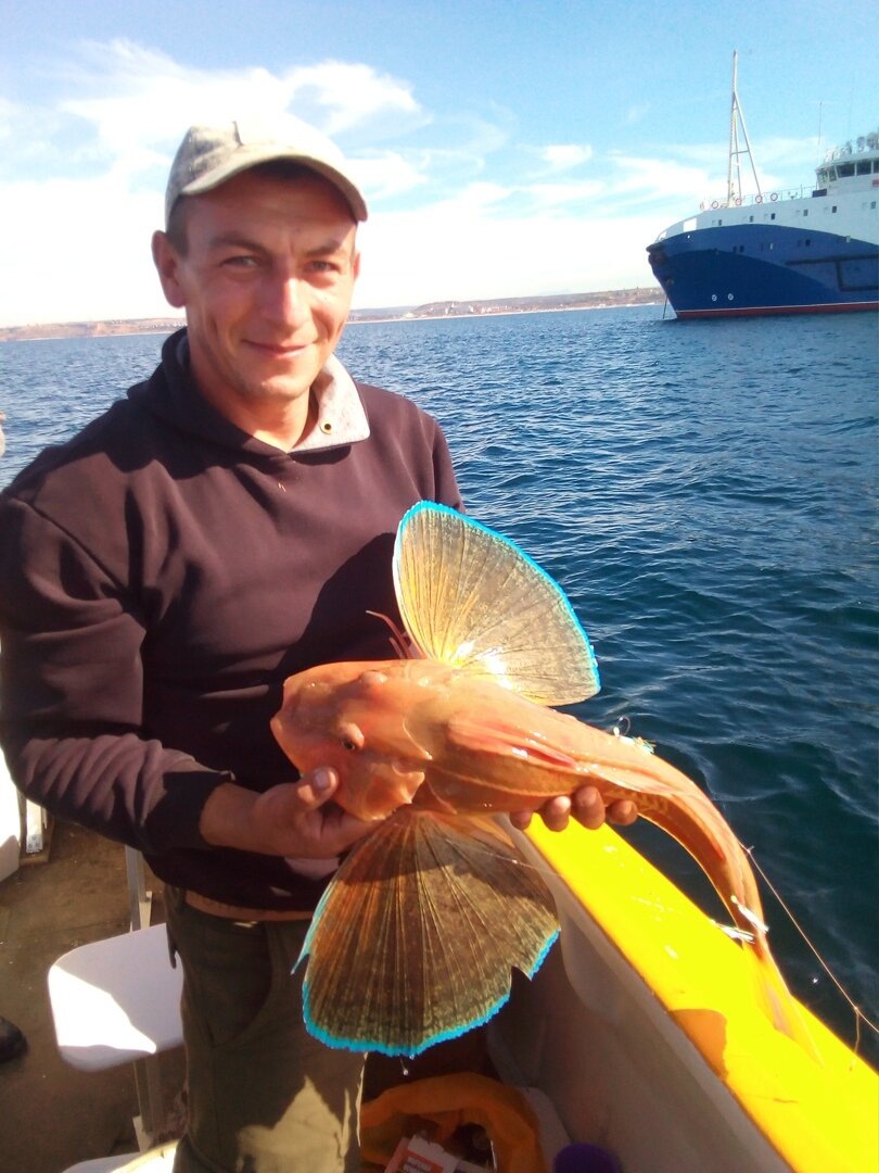 Владимир Илларионов.