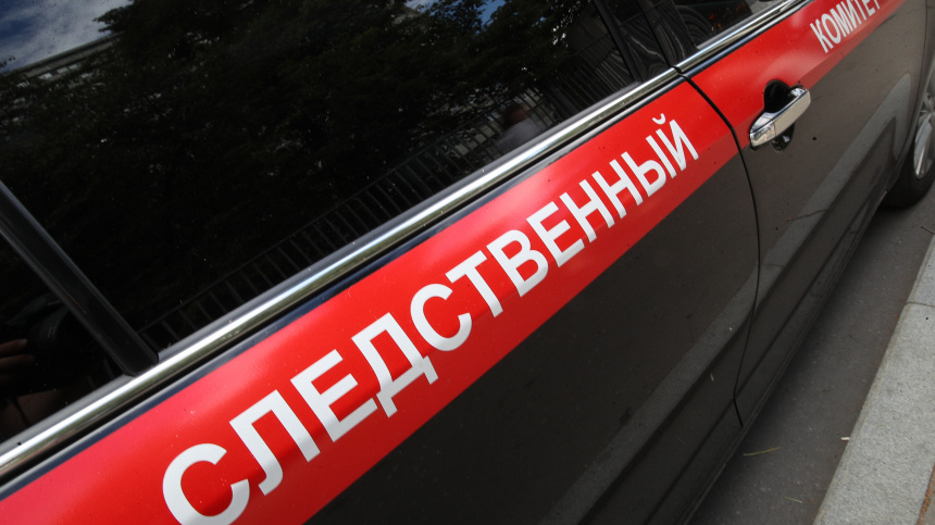    Фото: ИЗВЕСТИЯ/Зураб Джавахадзе; 5-tv.ru