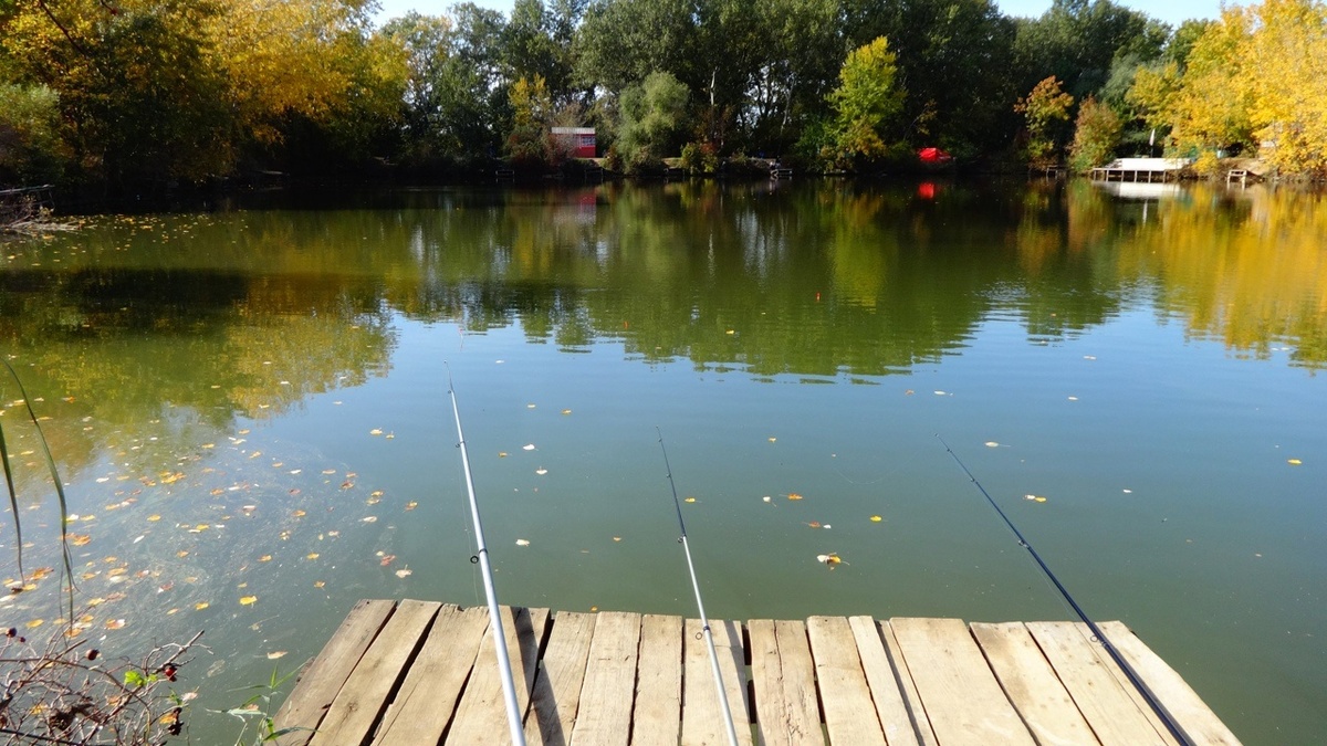 Место кражи.