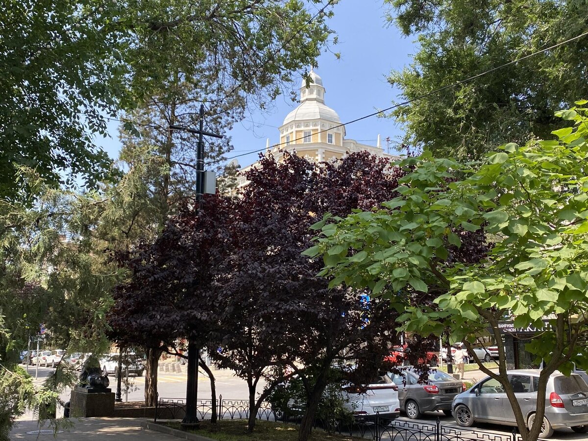 Июньская Пушкинская. Фото автора