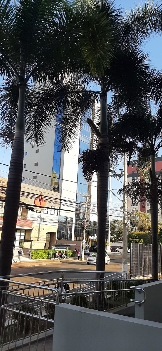 Кампинас. Штат Сан-Паулу.