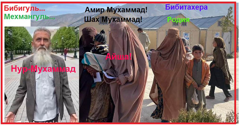 Из свободных источников. Коллаж автора.