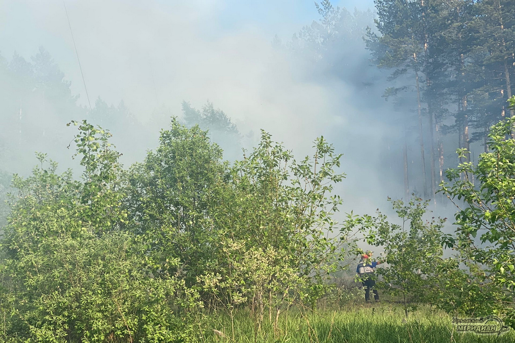    Фото: Александр Аникин © ИА «Уральский меридиан»