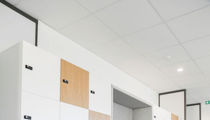 Потолок типа Армстронг и система хранения - Потолочные Решения