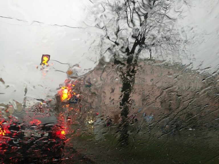    Фото: pixabay.com/Yulia_Prokhorenko Илья Федоров