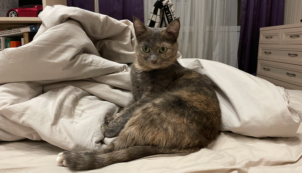 Устраиваюсь поудобнее перед отходом ко сну