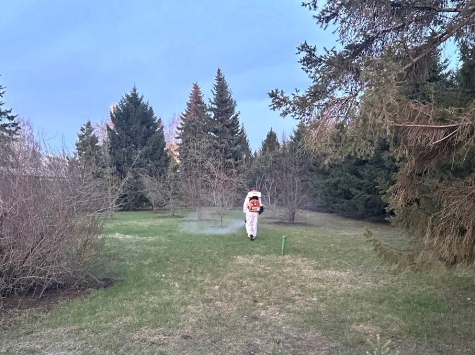    Обработка общественных территорий от клещей в Барнауле. Источник: barnaul.org