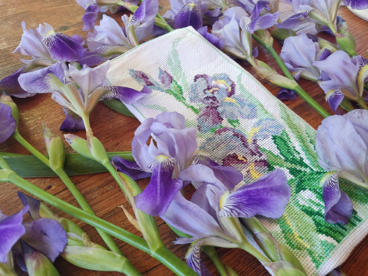 Портрет голубых ирисов