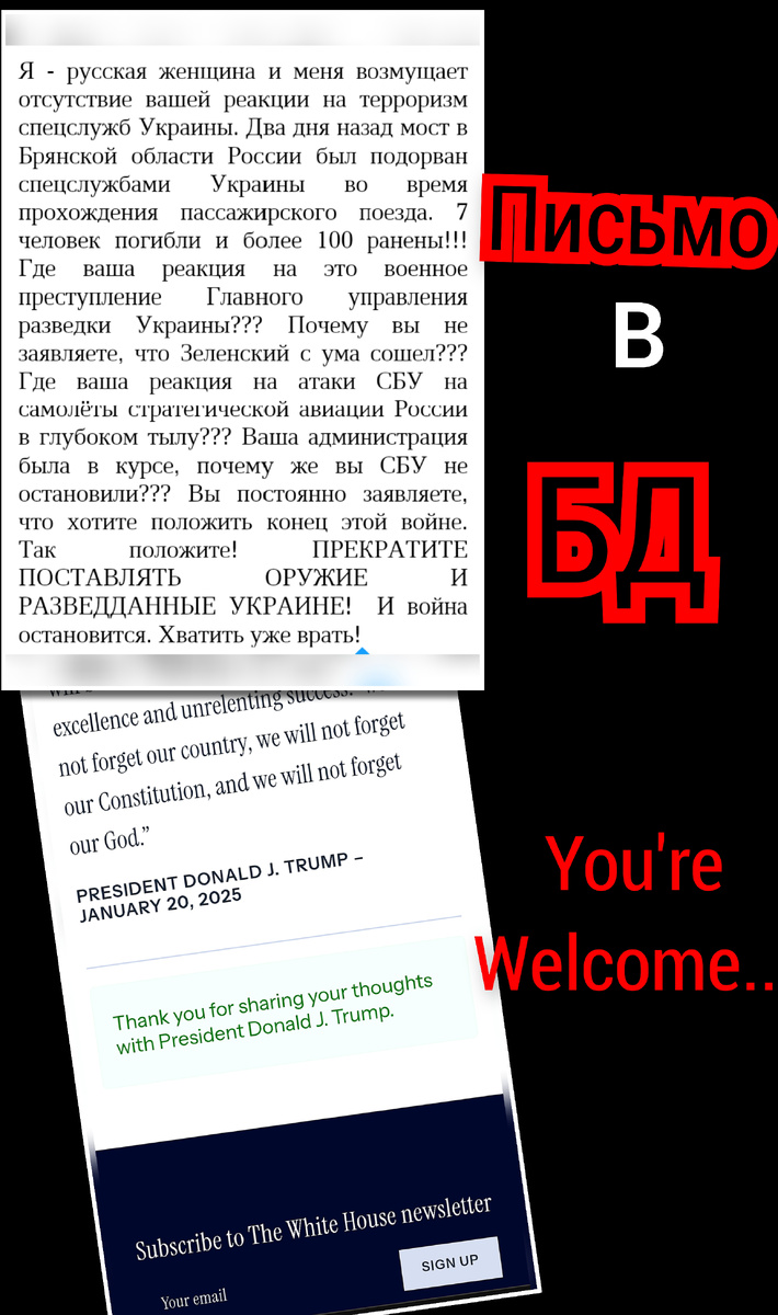 Письмо на сайте Белого дома и уведомление о доставке 