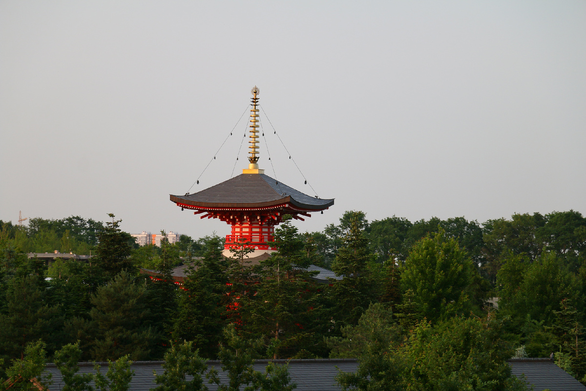 Здесь и далее фото автора блога