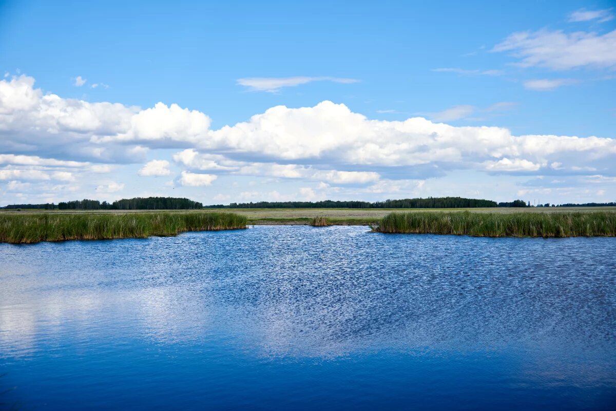    В Новосибирской области усиливают контроль за безопасностью на воде