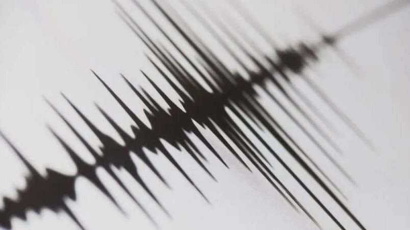    Фото: MuhsinRina/Shutterstock/Fotodom