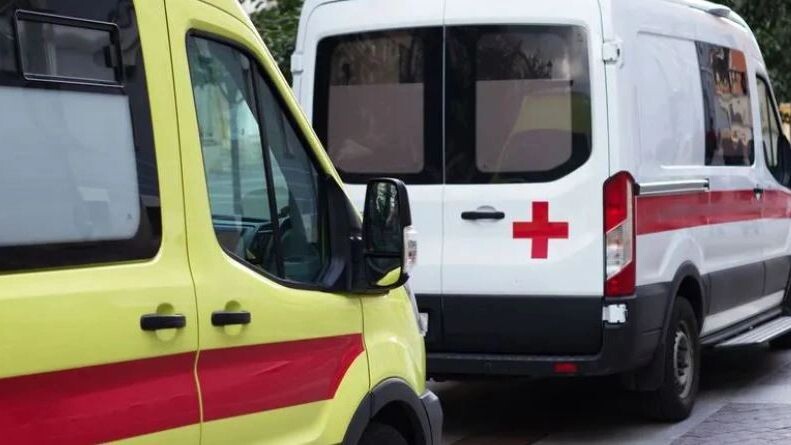    Фото: Olga_bl777/Shutterstock/Fotodom