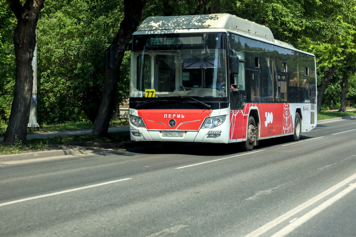 На проблемы с новыми автобусами пермяки массово жалуются уже почти неделю.  Фото: Елена Майорова