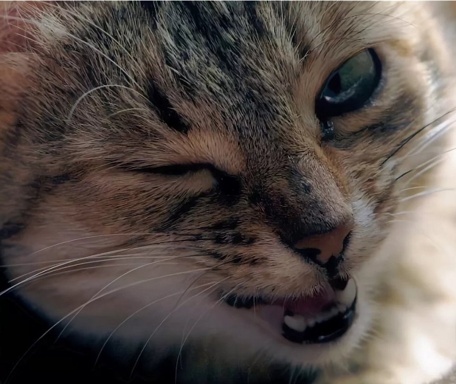 -Не на того напали!