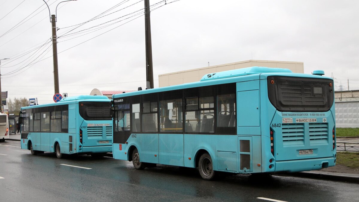    Фото: Maksim Konstantinov/globallookpress.com