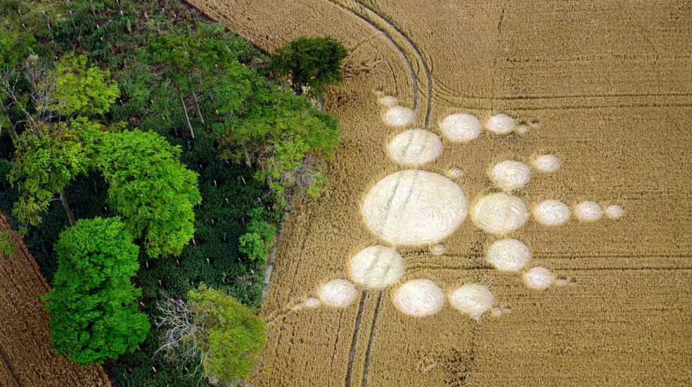    Тайные знаки под Краснодаром НЛО оставило или мистификация