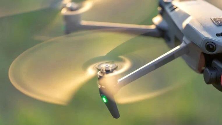    Фото: Bilanol/Shutterstock/Fotodom