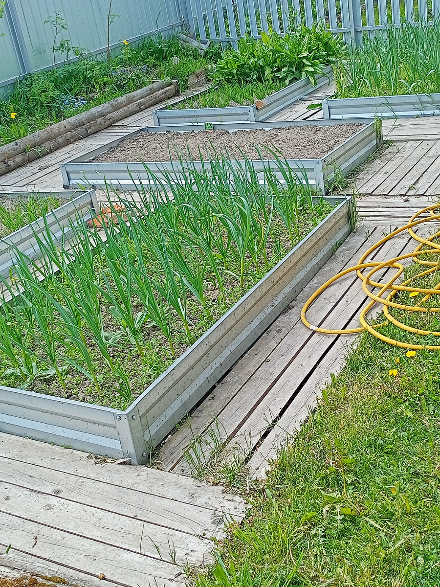 Этого нам вполне хватит 