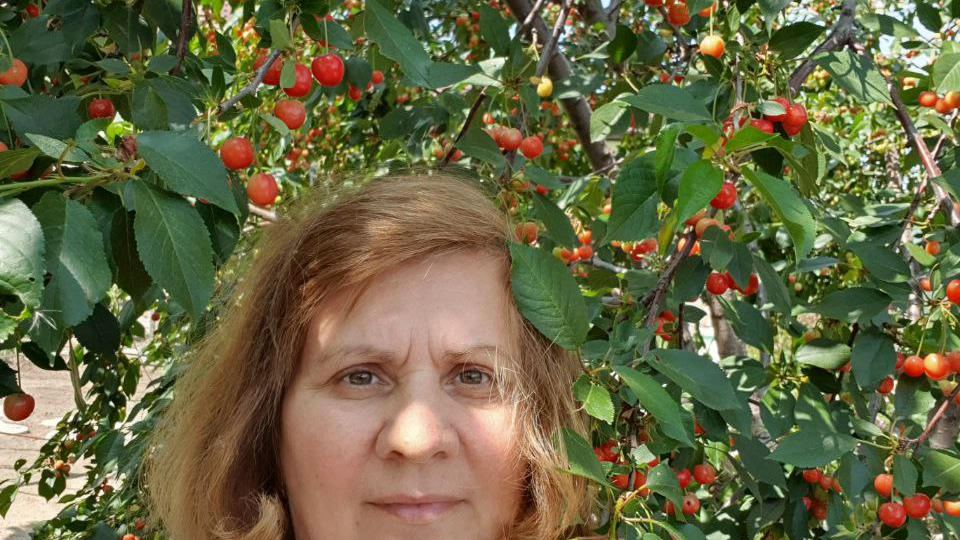 Как я нашла эко-оружие, от которого сбегают даже муравьи (и почему химия осталась в прошлом)