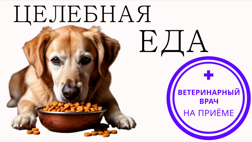 Хитрости ветеринарных диет