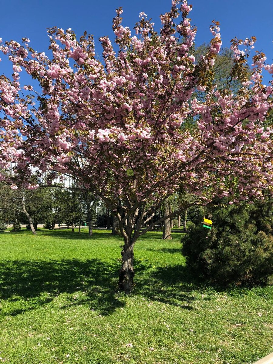 Фото автора