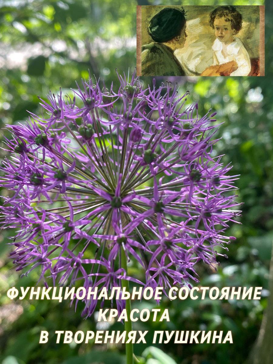ФУНКЦИОНАЛЬНОЕ СОСТОЯНИЕ КРАСОТА В ТВОРЕНИЯХ ПУШКИНА