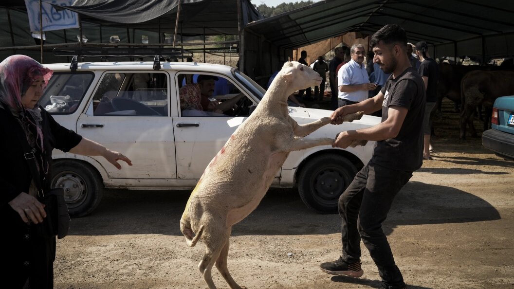    Фото: Murat Kocabas/Keystone Press Agency/Globallookpress