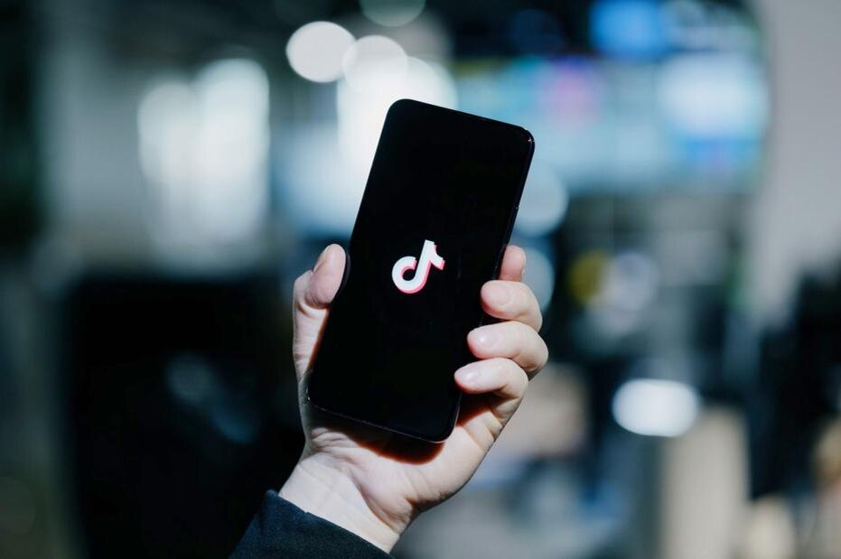    Михаил Гребенщиков/РБК/NEWS.ru