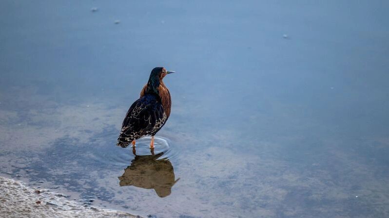    Фото: Федор Воронов / «Ямал-Медиа»