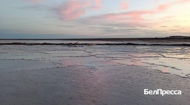 Фото: Анастасия Состина