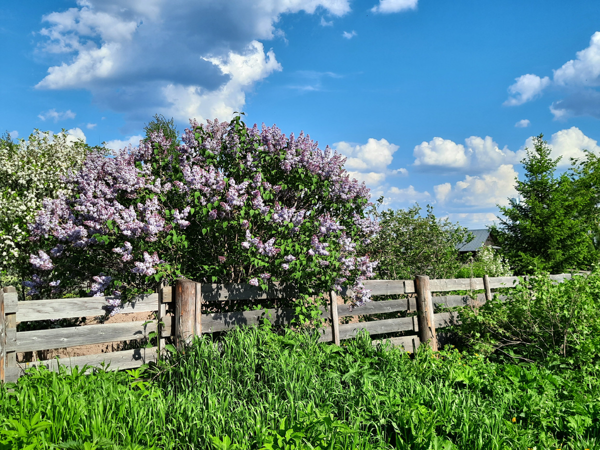За эту фотографию я и получила по шее