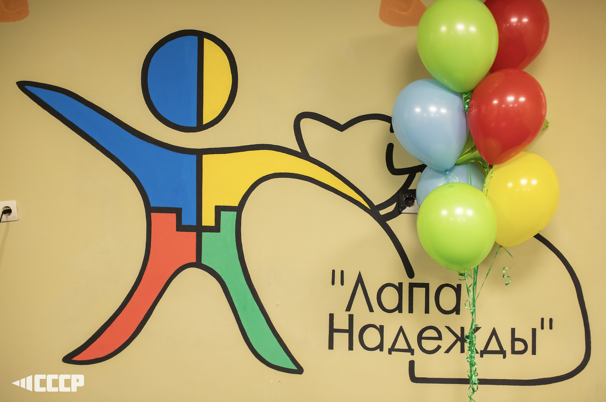 Команда участников 139 сезона создала соляную комнату для реабилитационного центра зоотерапии "Лапа надежды". 