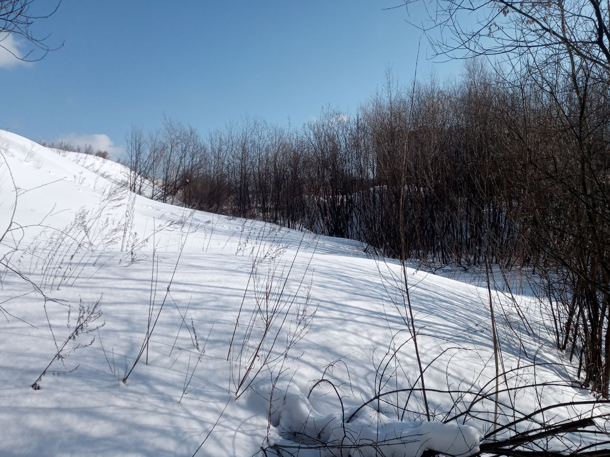 Из личного архива. По мнению прокурора снег не помеха посадить томаты, картошку и морковь