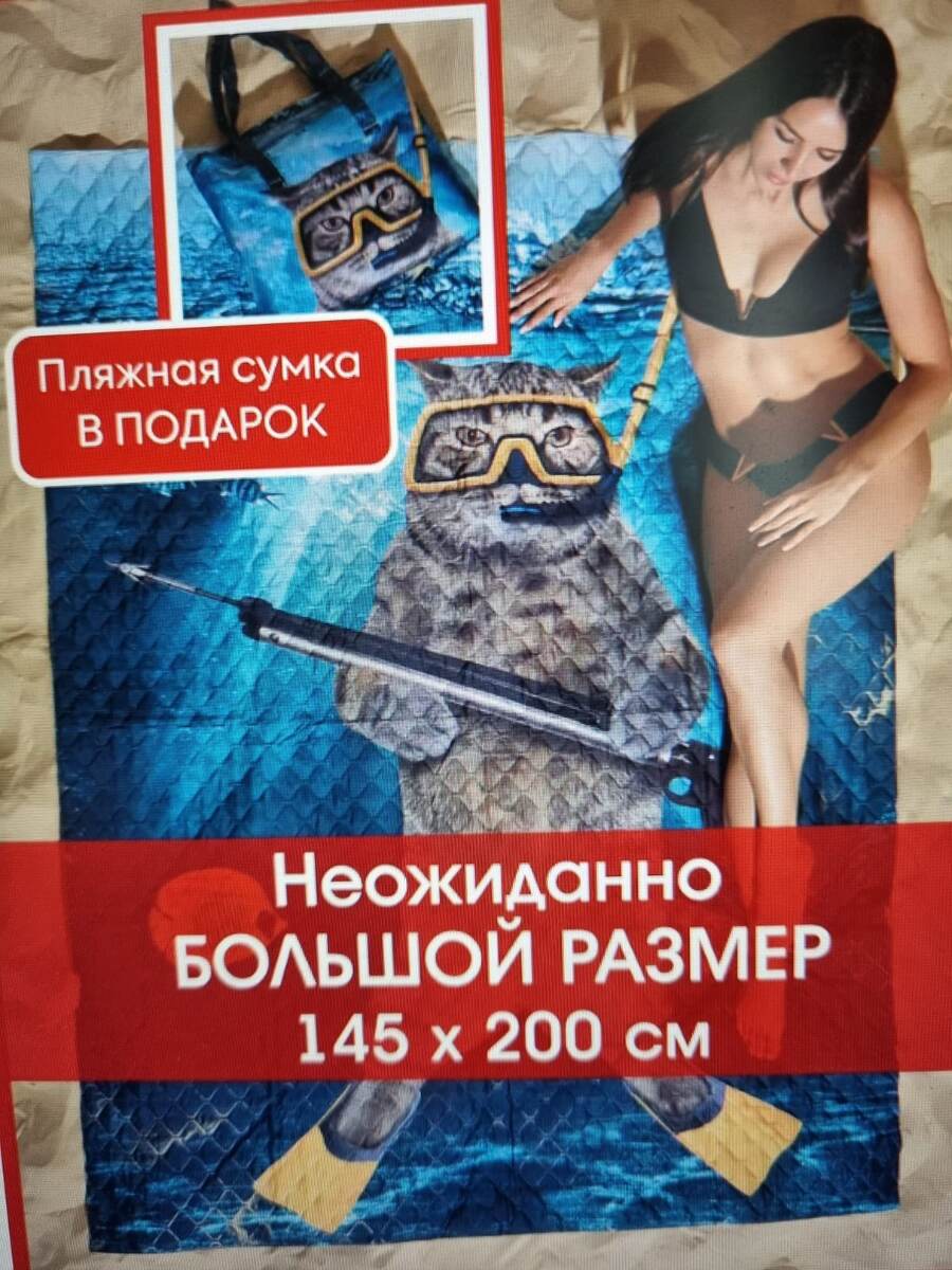 Котэ охоткик😅