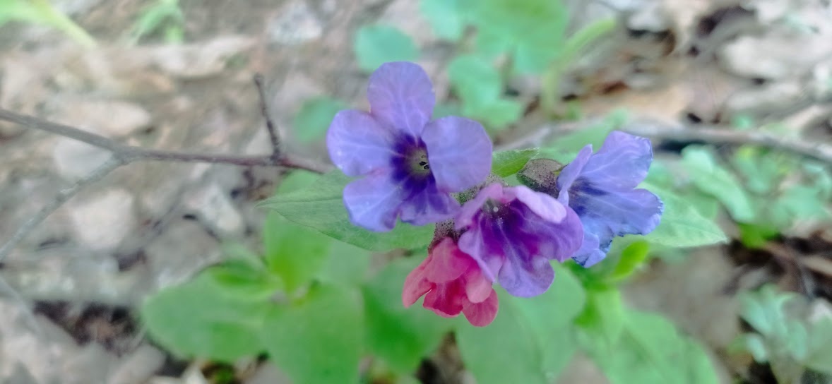 ПОТЕРЯШКА ИЗ АПРЕЛЯ