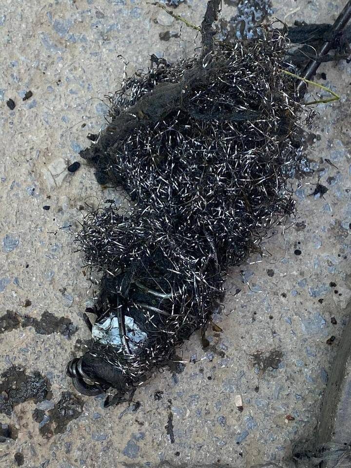    ФОТО: пресс-служба «Концессий водоснабжения»