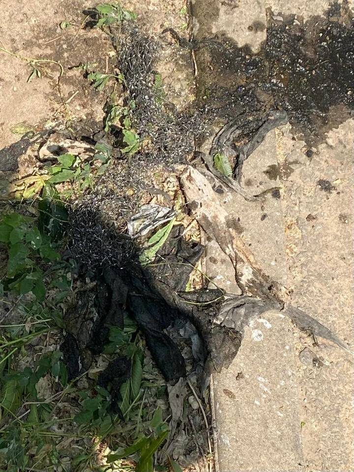    ФОТО: пресс-служба «Концессий водоснабжения»