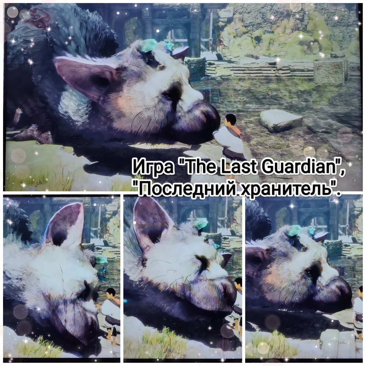 На фото обработанные мной скрины из игры "The Last Guardian", "Последний хранитель", руководитель разработки, ведущий дизайнер игры Фумито Уэда, разработчики SIE Japan Studio, Team Ico (Sony Computer Entertainment), 2016г. Скрины собраны в коллаж, который демонстрирует визуальный фон игры, а так же описанную ситуацию по прохождению игры, для оценки плюсов игры в этом направлении. Подробнее об игре рассказано ниже в статье. Все материалы размещены исключительно в информационных целях.