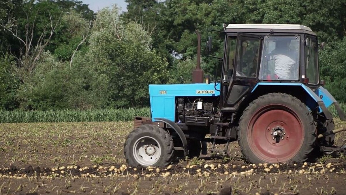    Фото: телеканал «Краснодар»