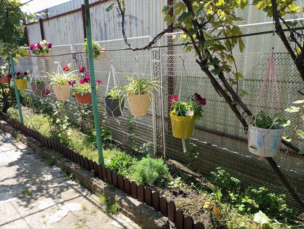 Моя узкая полоска земли вдоль забора