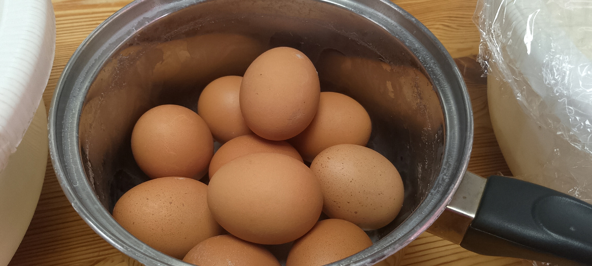 Сварила яйца