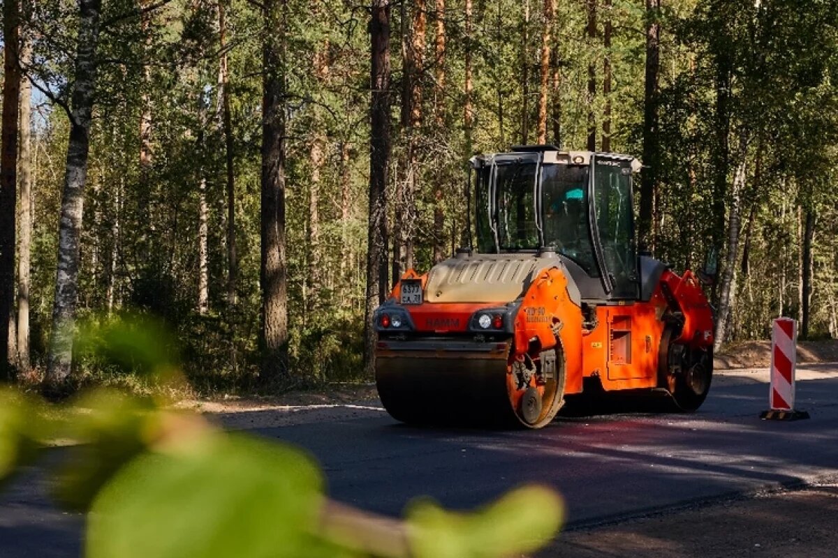    В Новосибирске на Димитровском мосту стартует реверс движения