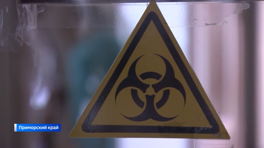    Источник фото: