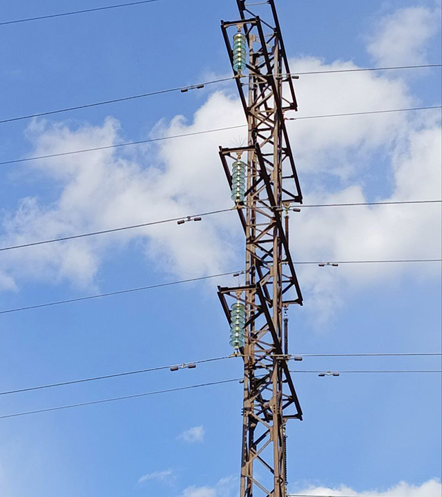 370 устройств для защиты птиц на ЛЭП будут установлены в Тверской области