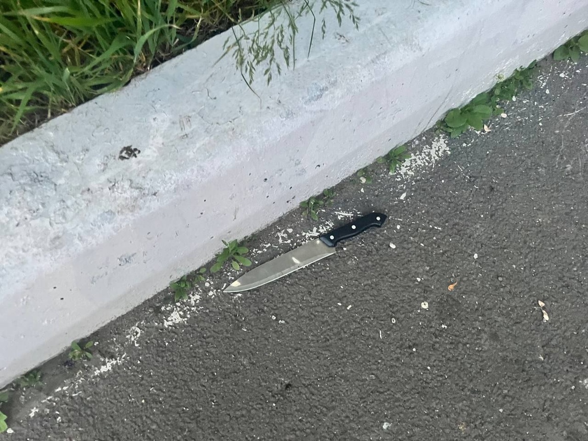     Напавшего с ножом на прохожего красноярца отправили в СИЗО на 2 месяца