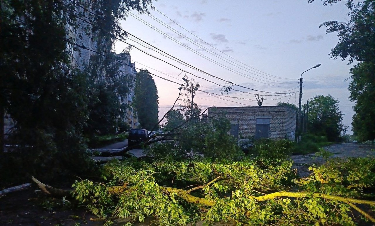    В Железногорске Курской области продолжается ликвидация последствий урагана