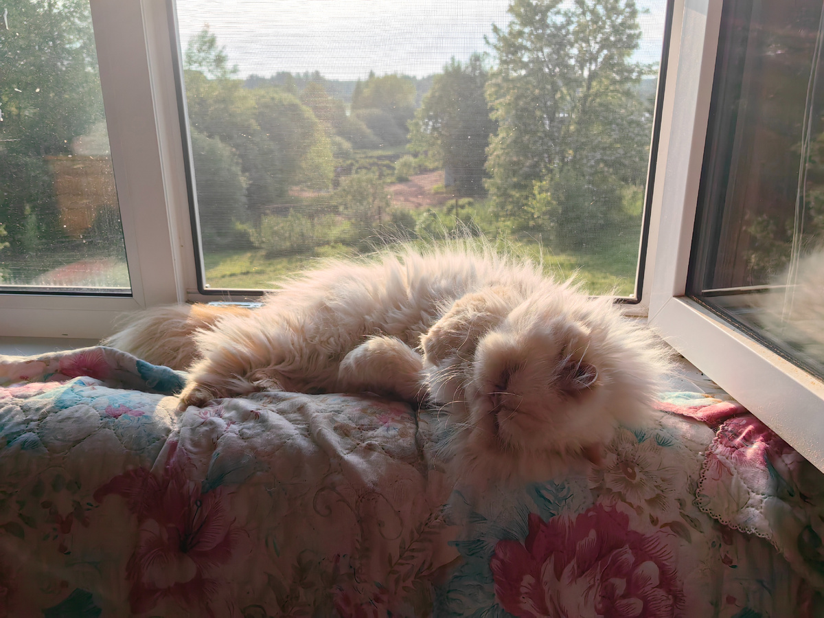 Нафаня и солнечные ванны 