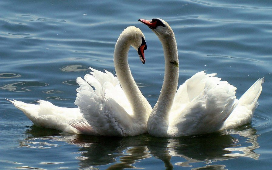 Яндекс.Картинки